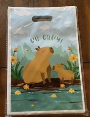 Capybara Birthday Party Decoration Lot