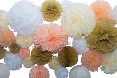46 Pcs Tissue Paper Pom Poms Tassel Flowers Lanterns Honeycomb Party Decorations