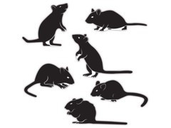 Halloween Mice Silhouettes Party Decoration 4 Packs of 6 Prop Bulk Wholesale Lot