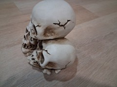 Makers Halloween Skull Decor 8-9 inch