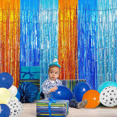 Blue Dog Birthday Party Supplies, 2 Packs 3.3X6.6 Ft Foil Fringe Curtains, Orang