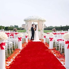 Red Carpet Runner for Party Wedding Aisle Decorations 4FTx15FT Aisle Runners …