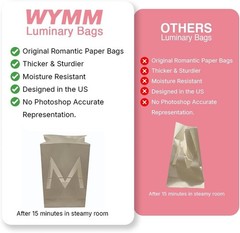 Romantic Luminary Bags Proposal Kit