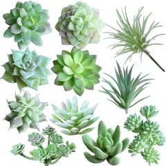 Supla 11 Pcs Mini Artificial Succulents Picks Unpotted Faux Succulent Green