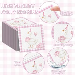 Pink 1st Birthday Party Decorations – Silly Goose Theme