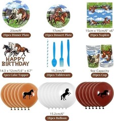 110pc. Horse Birthday Party Decoration/Party Favors/Forks,Plates, Balloons/More
