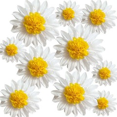 Flower Pom Poms Decor, 10 Pcs, Shower Wedding, White Yellow