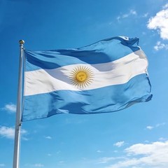 Flag, Flag of 3×5 Ft – Polyester Lightweight Flags with 2 Brass 1 Pc Argentina