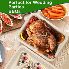 Large Paper Plates 14 Inch, 100 Pack Disposable Trays, Heavy Duty Dinner Size…