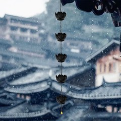 Efficiently Guide Water with This Beautiful Lotus Rain Chain 1 2 Meter