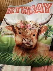 HAPPY BIRTHDAY Orange Farmer & Lamb Design Banner 40” X 50” Refer To Pictures