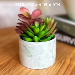 Karlliu Artificial Plants Cute Colourful Succulents in 4×4 inch, Colorful