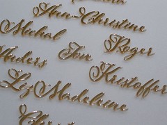 Personalized Wedding Place Cards Acrylic Table Name Calligraphy Wedding Any Font