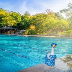 Summer Porch Goose Costume with Charming Hat and Bikini for Outdoor Fun