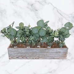 10 Pcs Mixed Eucalyptus Leaves Stems Bulk Artificial Silver Dollar Green,grey