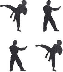 Karate Taekwondo Cut-outs, 12-Pack Table Topper Double-sided Birthday Party D…