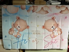 Bear Gender Reveal Balloon Boxes Decorations – 1ooPcs Pink Blue Balloons + MORE