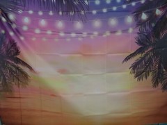 HAWAIIAN BEACH SCENE SUNSET PHOTO BACKDROP 7ft X 5 ft PARTY DECORATION