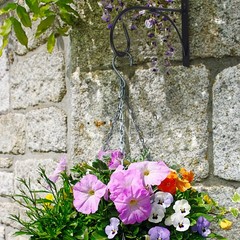Sturdy Construction 2Pcs Metal Flower Pot Hangers for Long Lasting Use