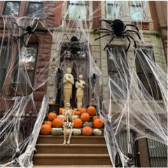 2 Pack Stretchable Spider Web + 2 Fake Spiders Halloween Party Decor Cobweb Prop