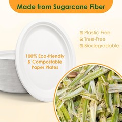 Disposable Oval Paper Plates, 100Pack 12.5inch Biodegradable Large, Compostab…