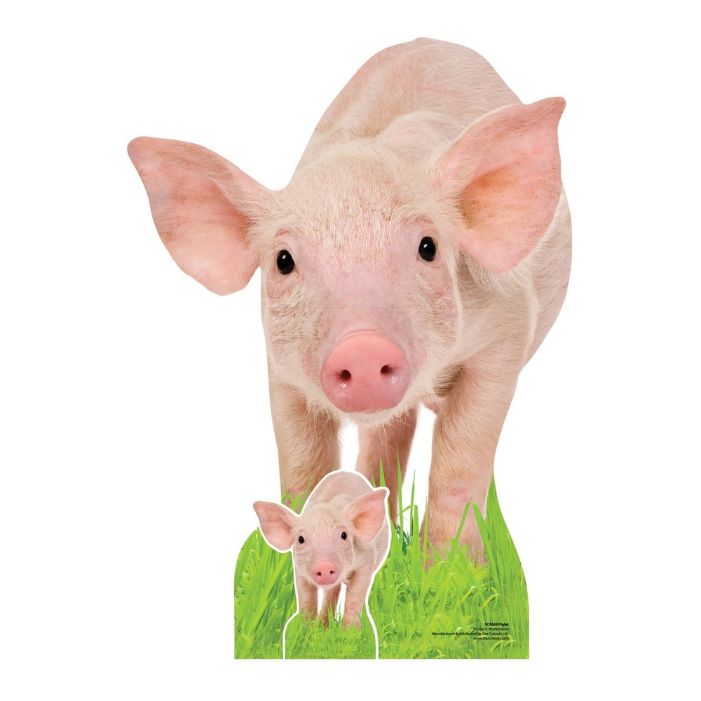 Pimpi Cardboard Cutout 85cm x 61cm With Free Mini IN Feet – Animal Yard