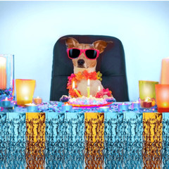 2 Pack Tinsel Foil Fringe Table Skirt, 108.3 x 29.5” Blue Orange Wavy Party