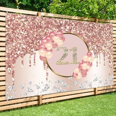 21st Backdrop Girls 21 Years Happy Birthday Party Baby Photo Background Banner