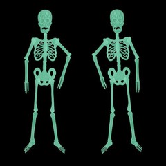 Halloween Luminous Human Skeleton Poseable Full Life Size Decoration Party Prop