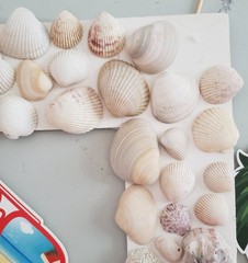 Hawaiian Luau Photo Booth Props & Handmade Foam Board Frame With Shells , Luau