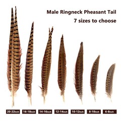 20pcs Male Pheasant Feather Natural Ringneck Tails Feathers 12-14inch 30-35cm…