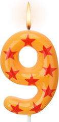 Number 9 Anime Theme Dragon Birthday Candle Yellow and Red Stars Print Candle Nu