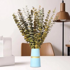 20 PCS Dried Eucalyptus Stems, 17» Natural Real Live Yellow