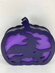Halloween 9” Light Up Witch With On/Off Switch Require 2 AA Battery A7