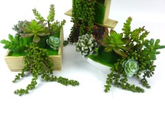 FLIPPED 3 Pack Artificial Plant Succulent Plants Hanging Green&13.7 in, Green