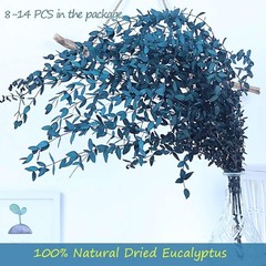 Dried Eucalyptus Leaves Preserved Greenery Stems, 8-14 PCS 2-blue