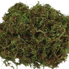 USMOLA Artificial Moss for Indoor Plants, 16OZ 10x7x4 inches, Natural Green
