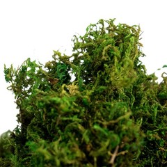 BYHER Artificial Moss Fake Green 10 inches x 4 x 3 inches, 8oz, Fresh