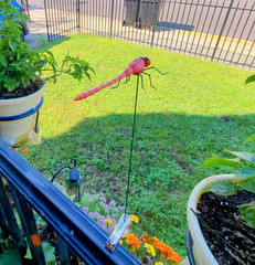 8 Pack Dragonfly Clips, 3D Simulation Fake Dragonflies Decoration for Garden Sta
