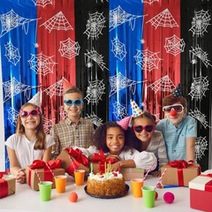 Spider Web Birthday Decorations, 2 Pack Spider Party Supplies 3.3×6.6ft Tinse…
