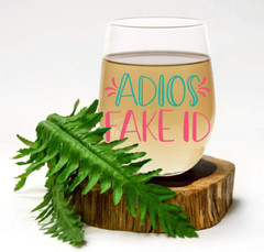 21St Birthday Gifts for Her Unique, Adios Fake ID, Funny Cute Wine Glass for …
