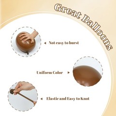 Brown Balloons 12 – 60pcs in Light Tan, White Metallic Gold for Baby Shower