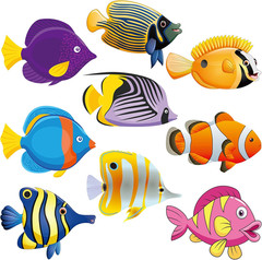 45 Pieces Tropical Fish Cutouts for Classroom Decor Colorful Ocean Animal Cutout