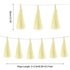 15Pcs Cream Tassel Garland Banner with Rope