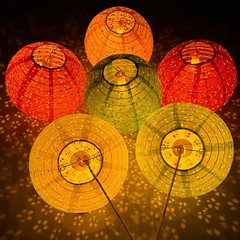 Chinese New Year Round LED Paper Lantern Decorations Set of 12 Lunar Year