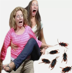 10X Prank Fake Roaches Plastic Cockroaches Creepy Roach Bugs Party Game Toy Gift