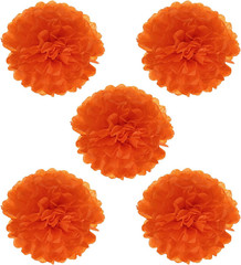 8″ Tissue Pom Poms Flowers, 5 Pack Paper Flower Ball for Wedding Bridal Shower B