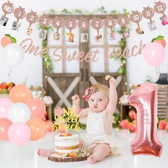 One Sweet Peach Birthday Decorations, 1st Peach Birthday Decorations Peach Pi…