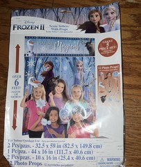 Frozen Party