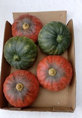 3D Pumpkin Decoration Props Window Display Natural Halloween Thanksgiving Event